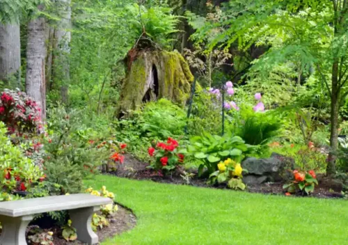 robert mygardenandpatio