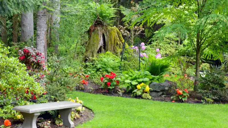 robert mygardenandpatio